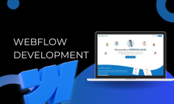 I will design webflow website, figma to webflow, webflow development,